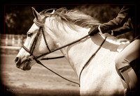 IMG_2772-Edit_ 40x60 GW
