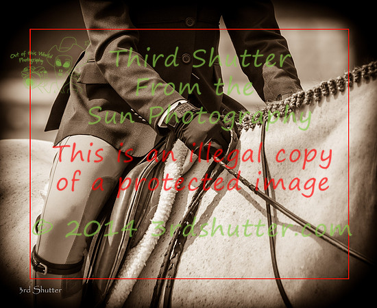 IMG_4238-Edit-3_ 16x20 GW