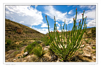 _B2D9121-Edit-2-Edit
