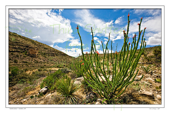 _B2D9121-Edit-2-Edit