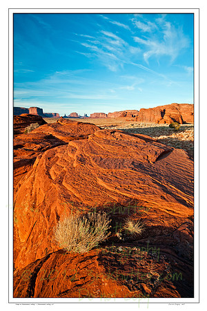 _MG_7541-2-Edit-Edit