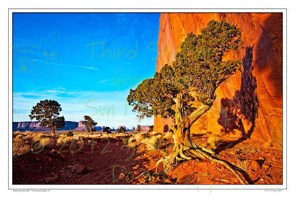 _MG_7552-2-Edit-3-Edit