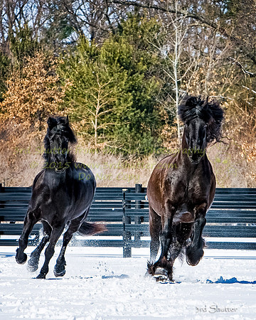 The Farm_0B2D0099-Edit-Edit