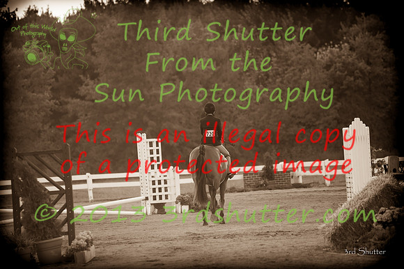 130817_WalkTrotClassic_0298