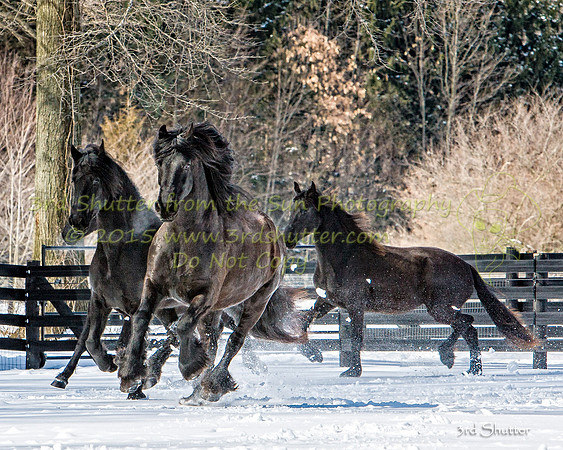 The Farm_0B2D0074-Edit