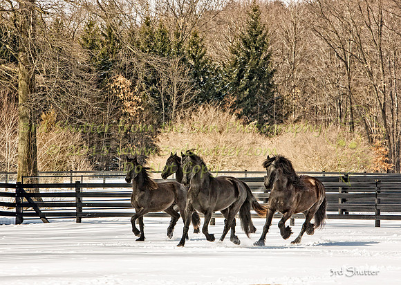 The Farm_0B2D0052-Edit