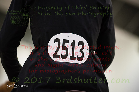 _1SF8213
