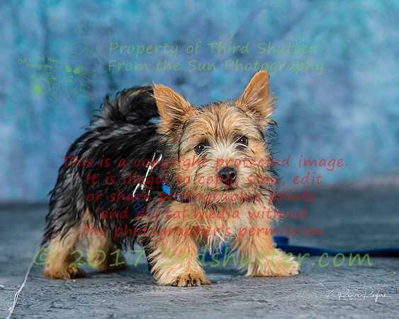 A18I6263-Edit