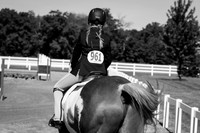 IMG_2785