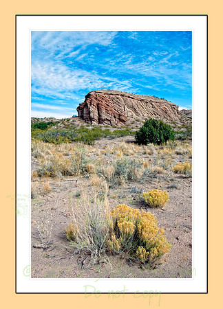 Roswell_20071126_Y1I4652 - Print