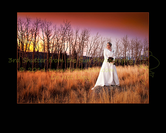 _MG_3756-Edit-Edit-Edit