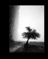 Mistical_Mourning_Solitude