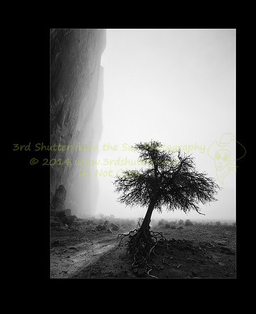Mistical_Mourning_Solitude