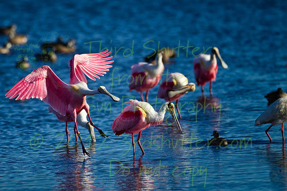 _N1C2516-Edit