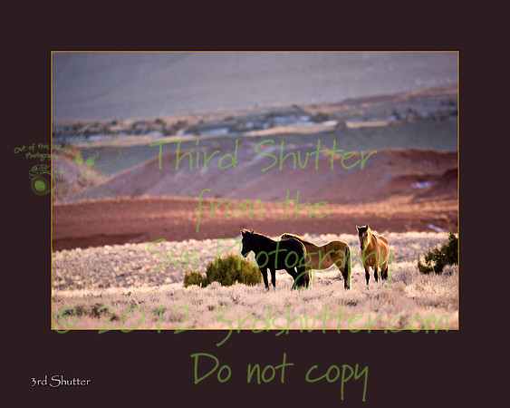 Wyoming_20080104_0B2D8009-Edit