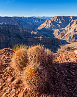 8J8A5879-Edit