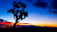 _B2D6299-Edit