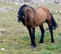 VG7C7936