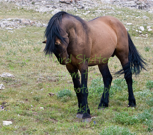 VG7C7936