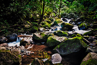 _MG_1925-Edit
