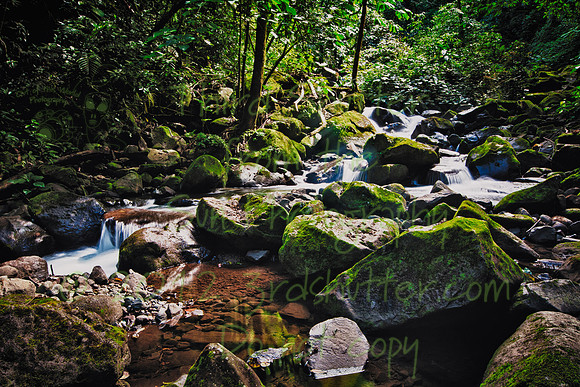 _MG_1925-Edit