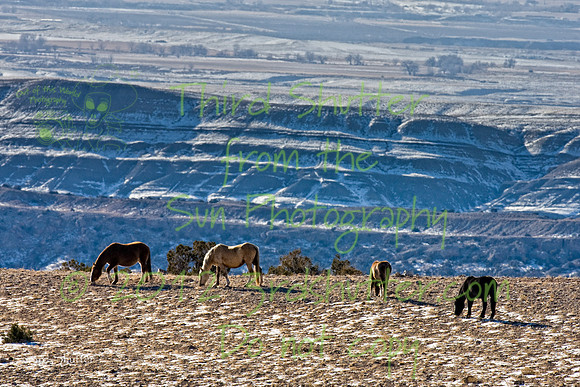 Wyoming_20080104__Y1I7549-Edit