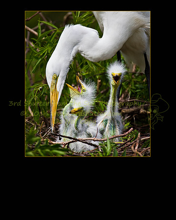 _N1C7287-Edit-Edit-3