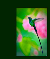 IMG_7740-Edit-2-Edit
