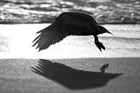 IMG_0160
