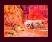 _B2D7010-Edit-Edit-3