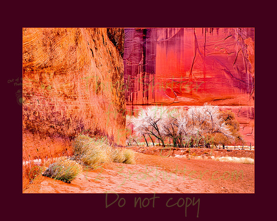 _B2D7010-Edit-Edit-3