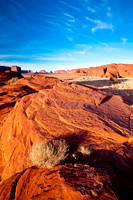 _MG_7541-2