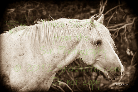 VG7C7857-Edit
